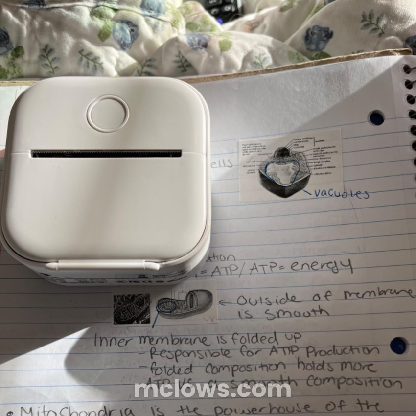 Pocket Mini Printer