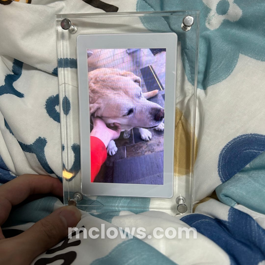 InfinityFrame™️ Live Motion Frame (2024 Upgrade)
