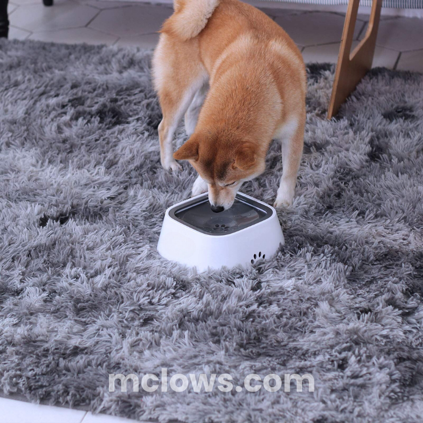 ZeroSplash™️ Pet Water Bowl