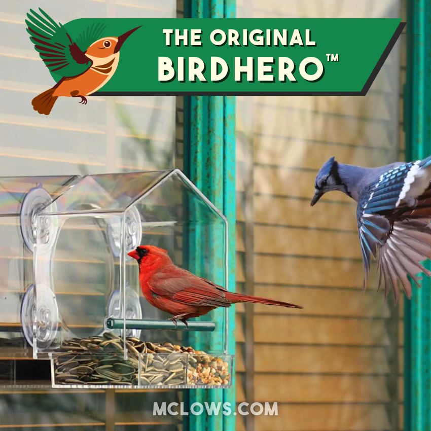 BirdHero Window Bird Feeder