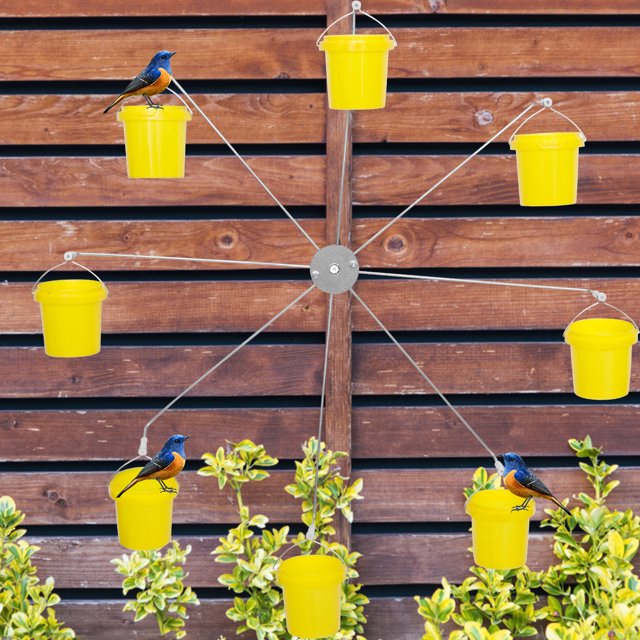 (Spring Sale) Bird Ferris Wheel Feeder