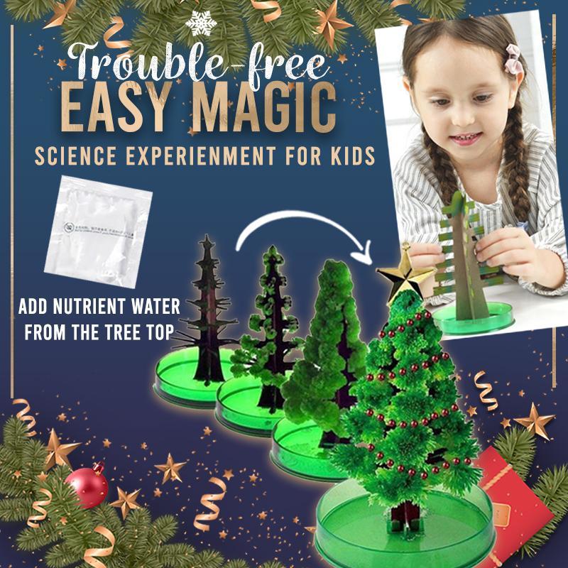 Magic Growing Christmas Tree Kit