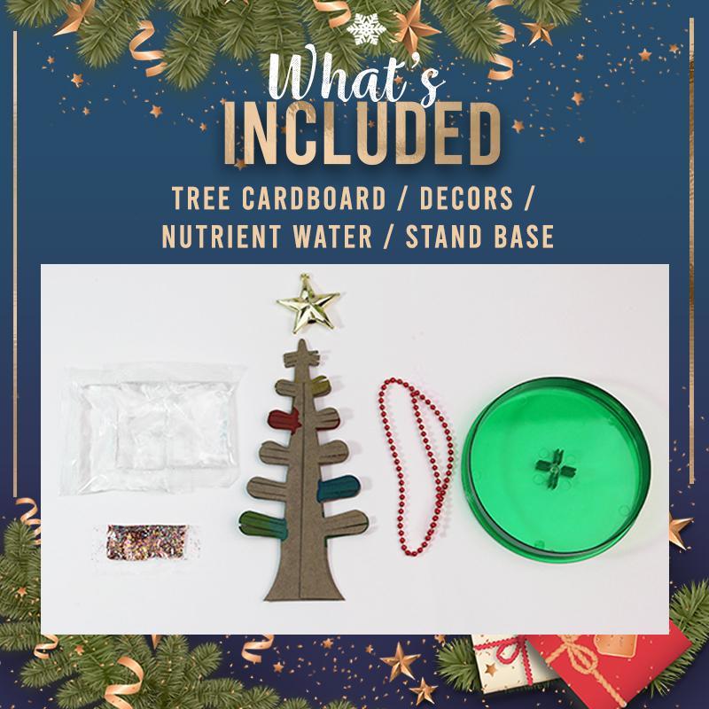 Magic Growing Christmas Tree Kit