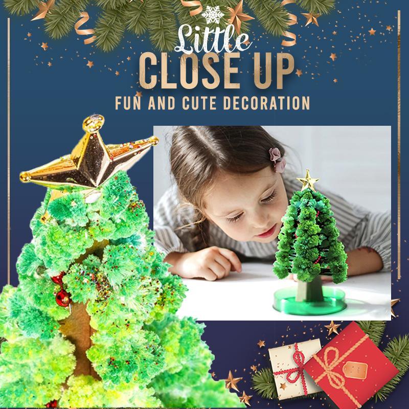 Magic Growing Christmas Tree Kit