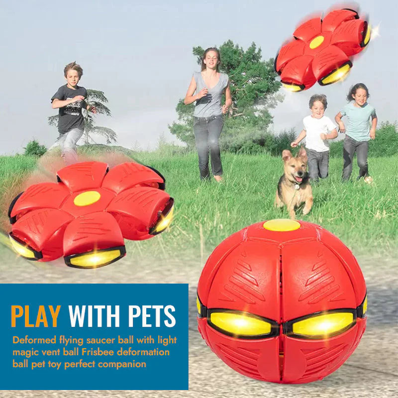Bouncing Frisbee Pet Toy Ball