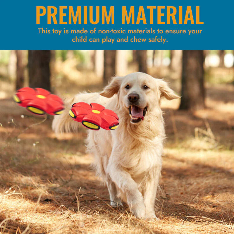 Bouncing Frisbee Pet Toy Ball