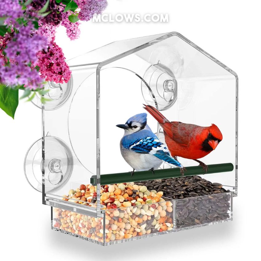 BirdHero Window Bird Feeder