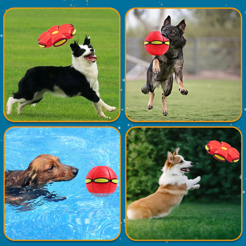 Bouncing Frisbee Pet Toy Ball