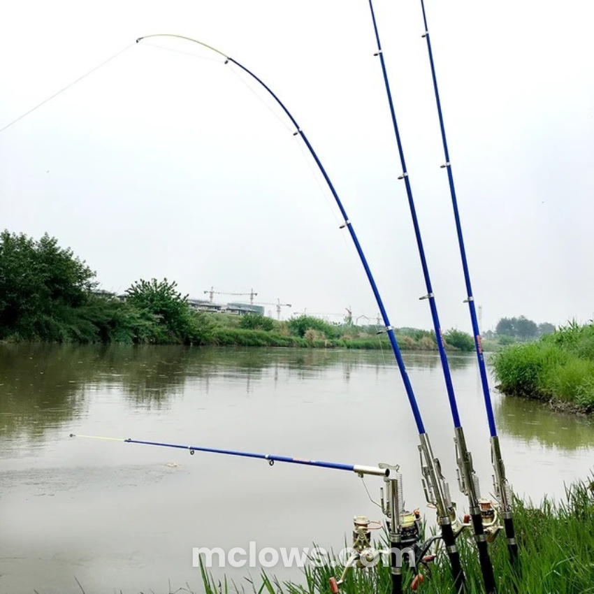 Automatic Fishing Rod