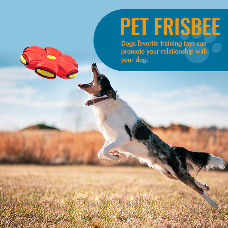 Bouncing Frisbee Pet Toy Ball
