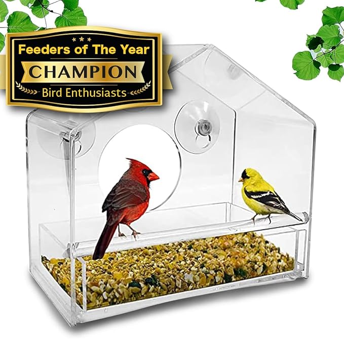 BirdHero Window Bird Feeder