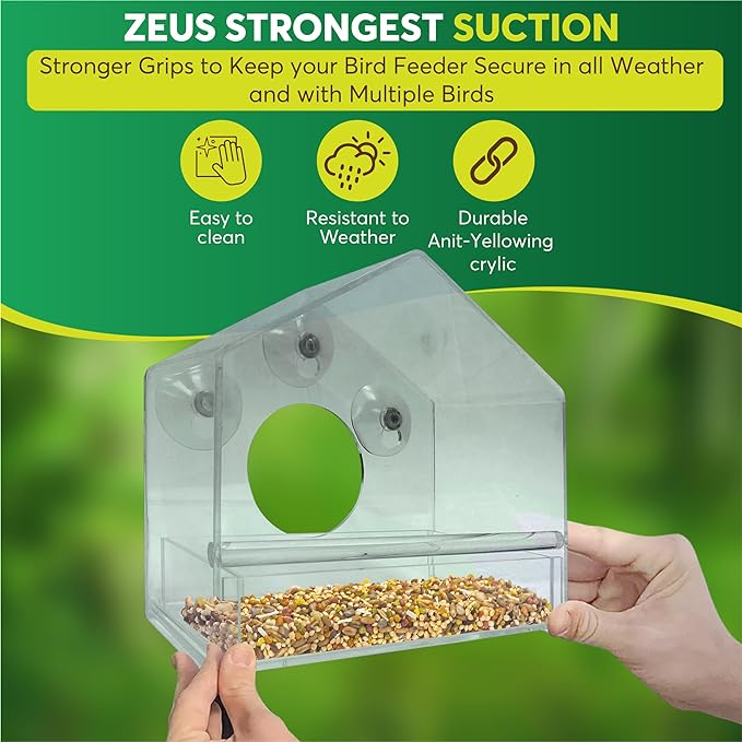 BirdHero Window Bird Feeder