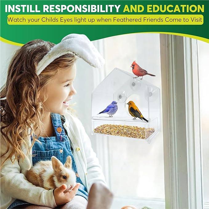 BirdHero Window Bird Feeder
