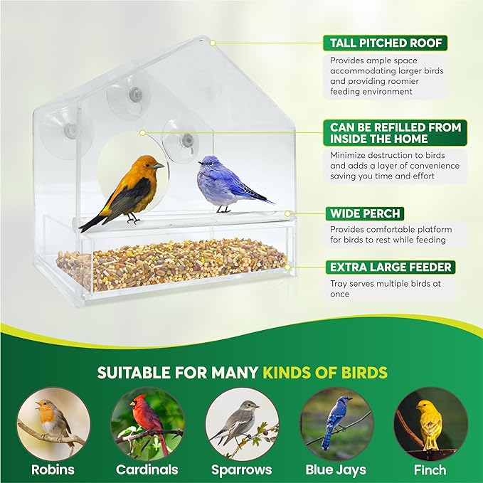 BirdHero Window Bird Feeder