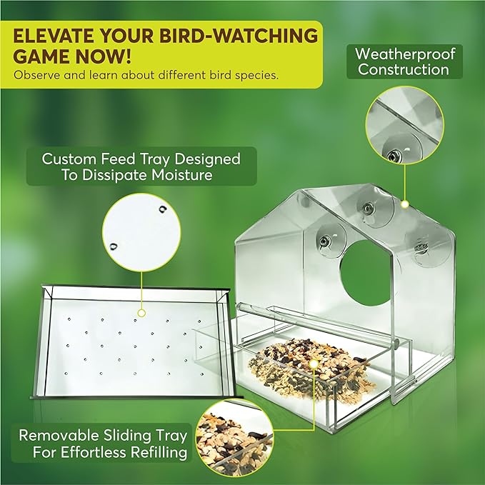BirdHero Window Bird Feeder