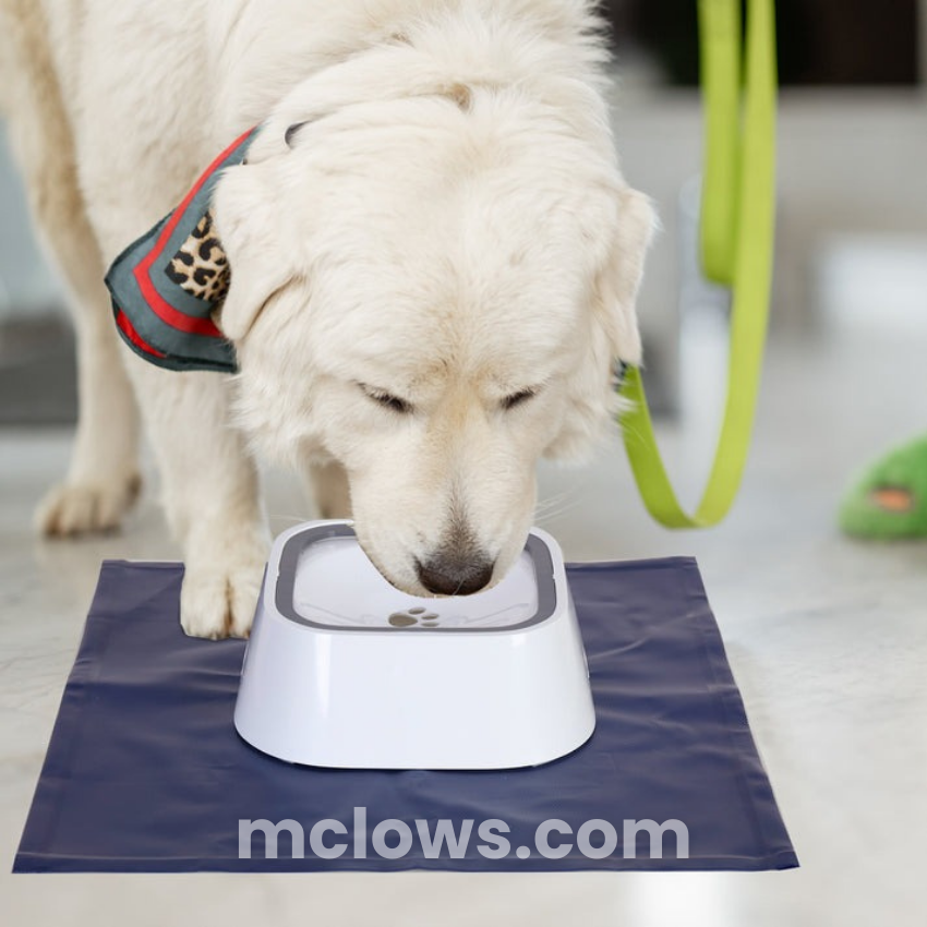 ZeroSplash™️ Pet Water Bowl