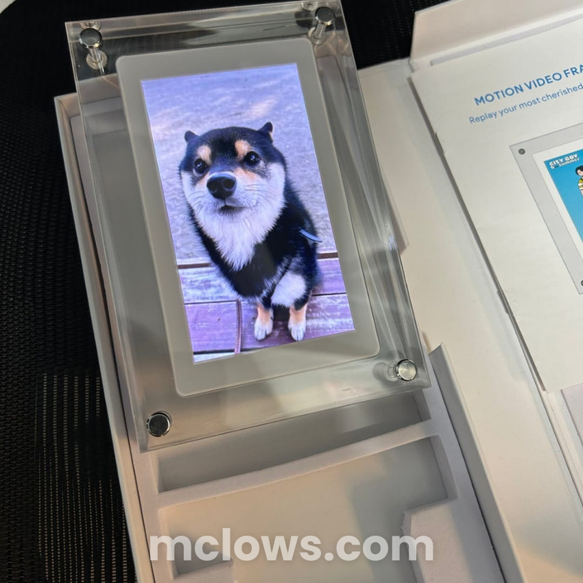 InfinityFrame™️ Live Motion Frame (2024 Upgrade)