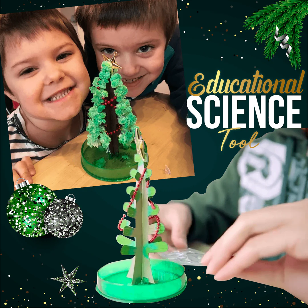 Magic Growing Christmas Tree Kit