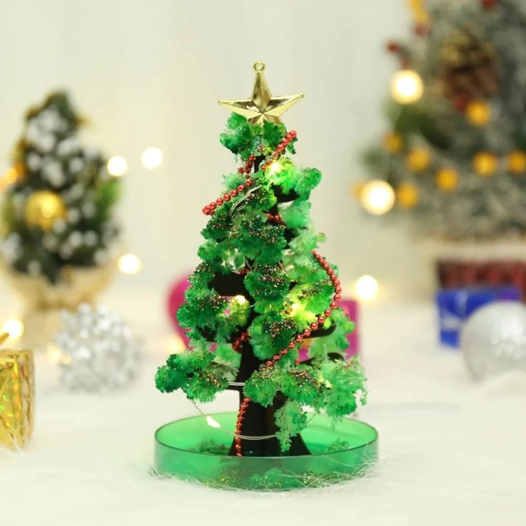 Magic Growing Christmas Tree Kit