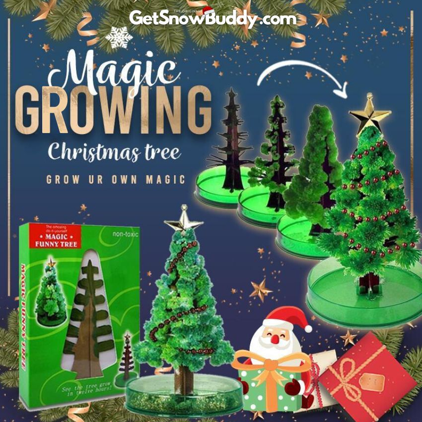 Magic Growing Christmas Tree Kit