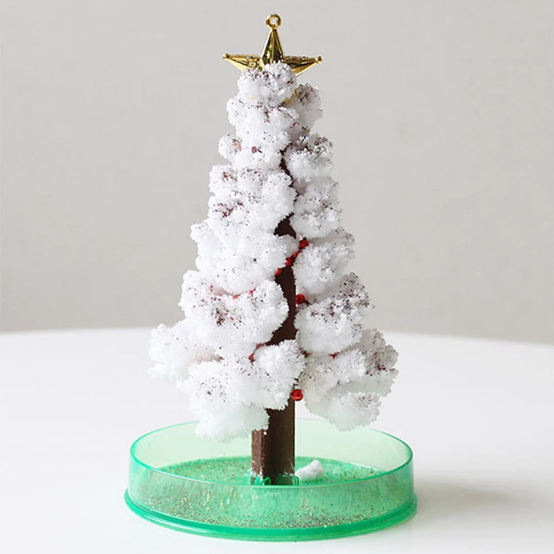Magic Growing Christmas Tree Kit