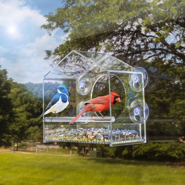 BirdHero Window Bird Feeder