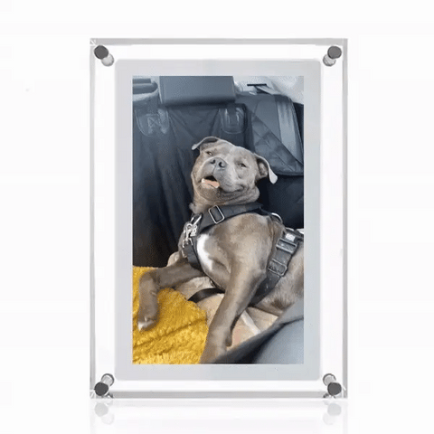 InfinityFrame™️ Live Motion Frame (2024 Upgrade)