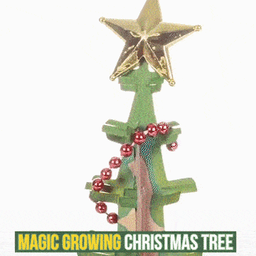 Magic Growing Christmas Tree Kit