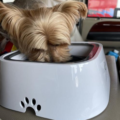 ZeroSplash™️ Pet Water Bowl