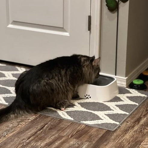 ZeroSplash™️ Pet Water Bowl