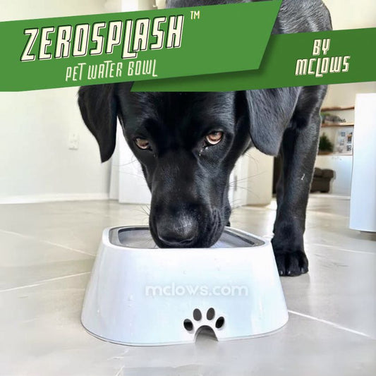 ZeroSplash™️ Pet Water Bowl