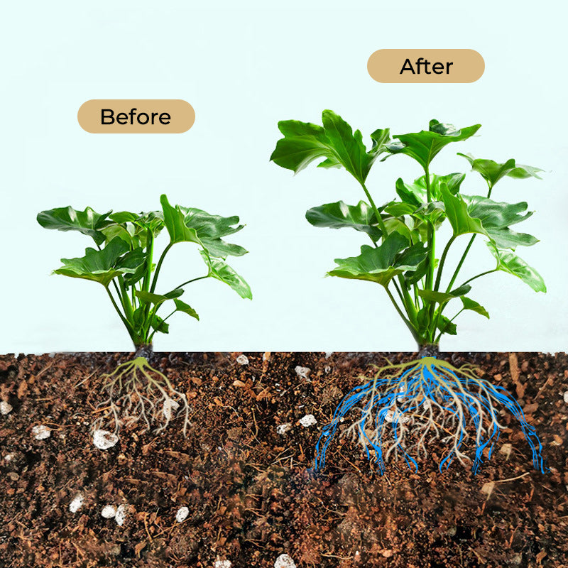 Quick Rooting Powder