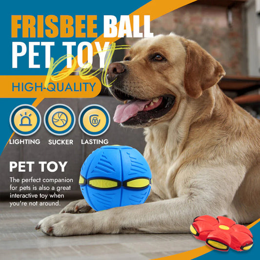 Bouncing Frisbee Pet Toy Ball