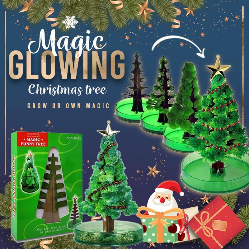 Magic Growing Christmas Tree Kit