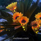 Glowing Sunflower Solar Garden Lights