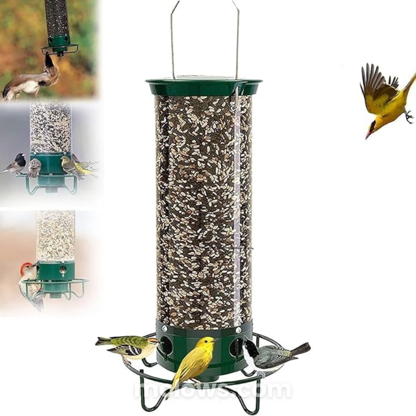 Anti-Squirrel Bird Feeder