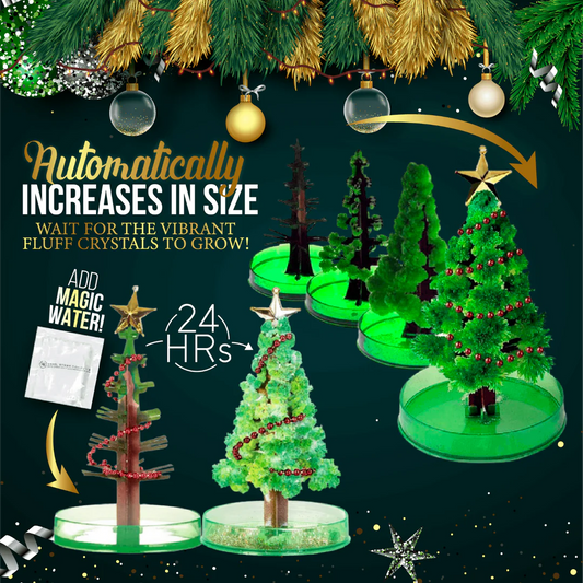 Magic Growing Christmas Tree Kit