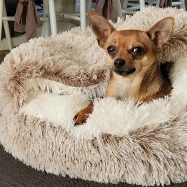 CuddleCave Hooded Calming Pet Bed