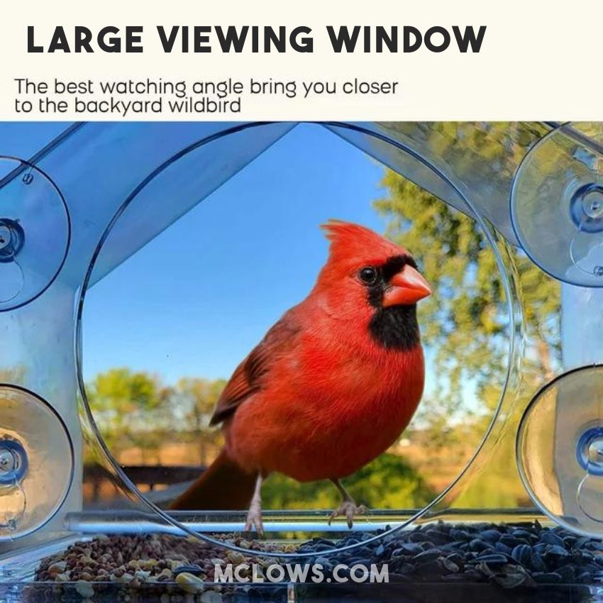BirdHero Window Bird Feeder